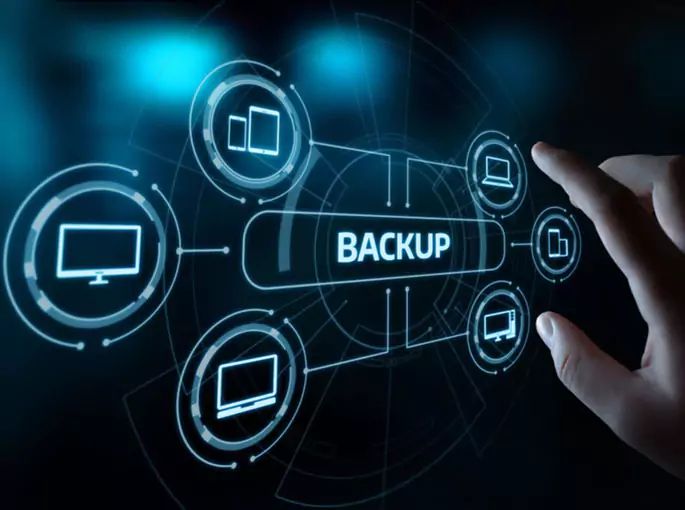 WordPress Website Migration expert
