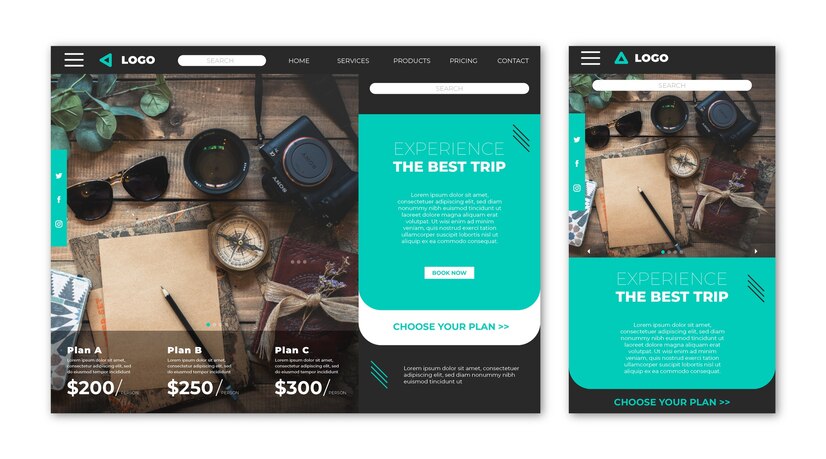 WordPress Themes